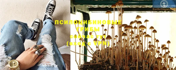 ECSTASY Абинск